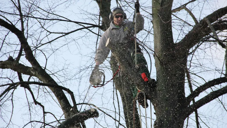 nj1bk4mtdgjlj7y6apup29cwo bomen kap 16 9