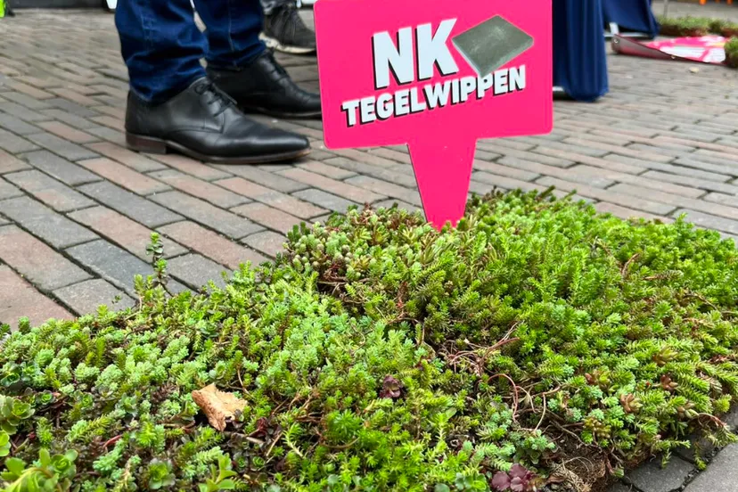 nk tegelwippen tuinman van sittard geleen