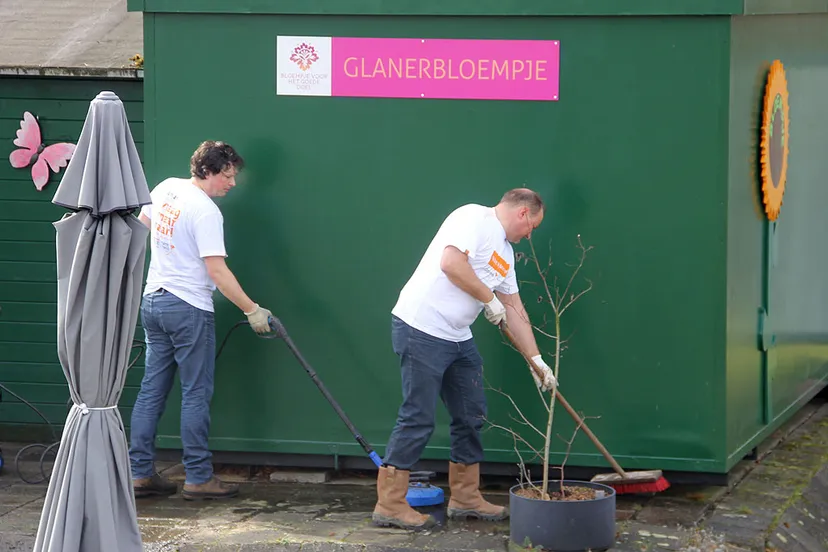 nl doet glaner bloempje poetsbeurt