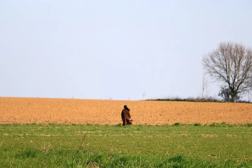 non aan de wandel op 28 maart 2020