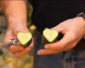 ns619ijaw0wt1g5gnfjl19jbo 212207