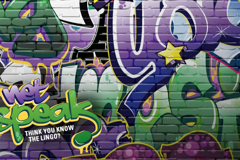 nyr7ywess0iijx1r3sse9f7gk netspeakinternettaalslangnetspeakyolo generatie