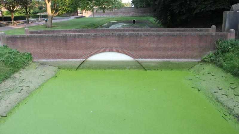 ob88lof2is4xmf49qp4o0f27l gracht droog 1