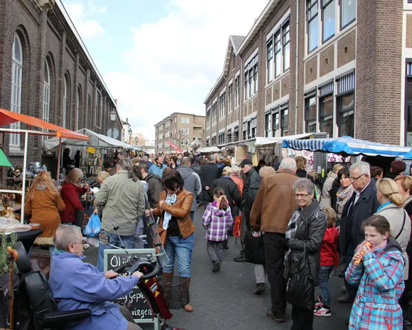 oj5vyp96qt18ou6axr0tncnrn 217838