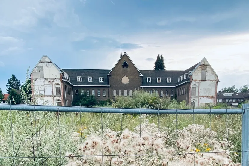 onkruid frans klooster 25 juli 2021 1