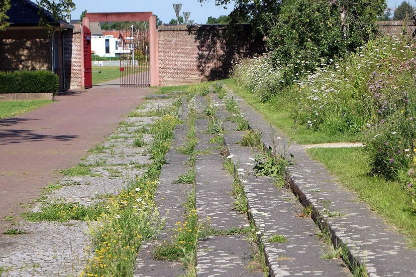 onkruid trappen ursulinentuin