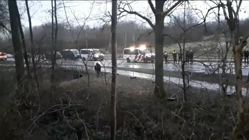 ontruiming sterrebos