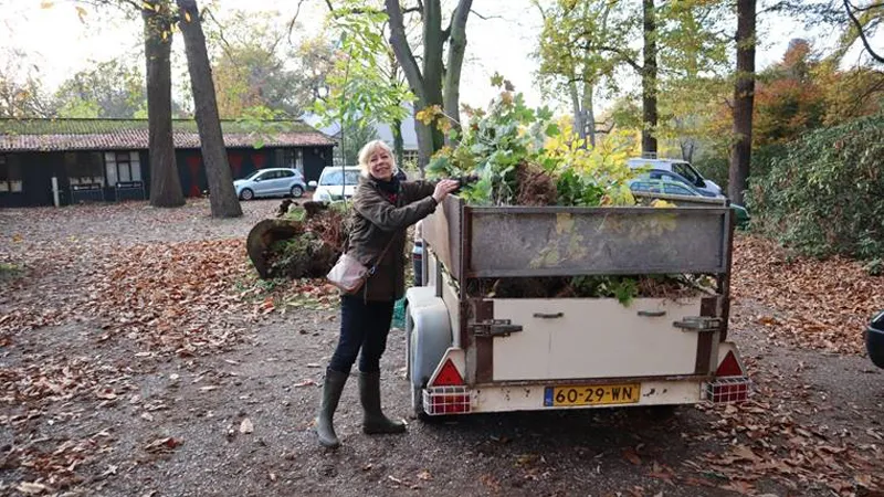 oogst na een dag zaailingen in posterholt