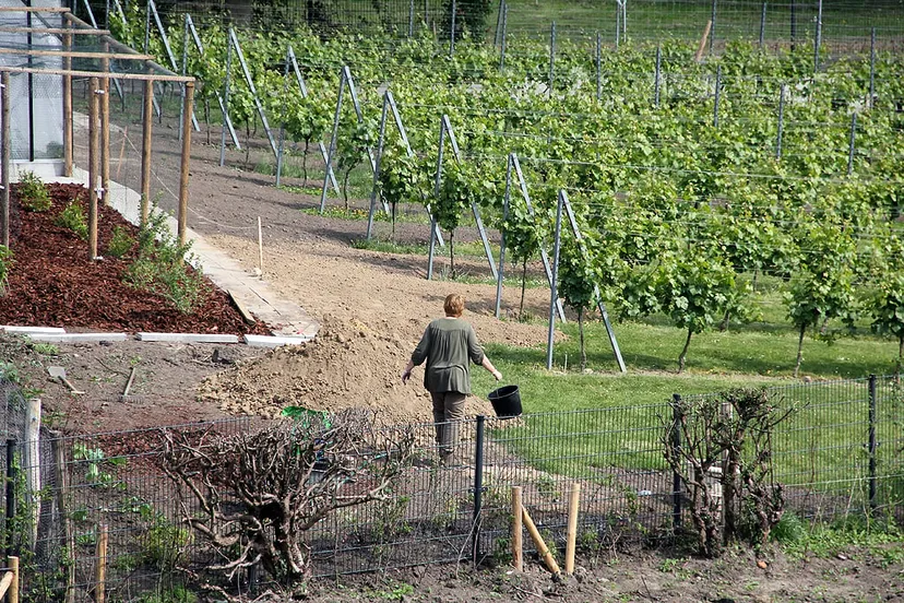 oostelijke schootsvelden 1