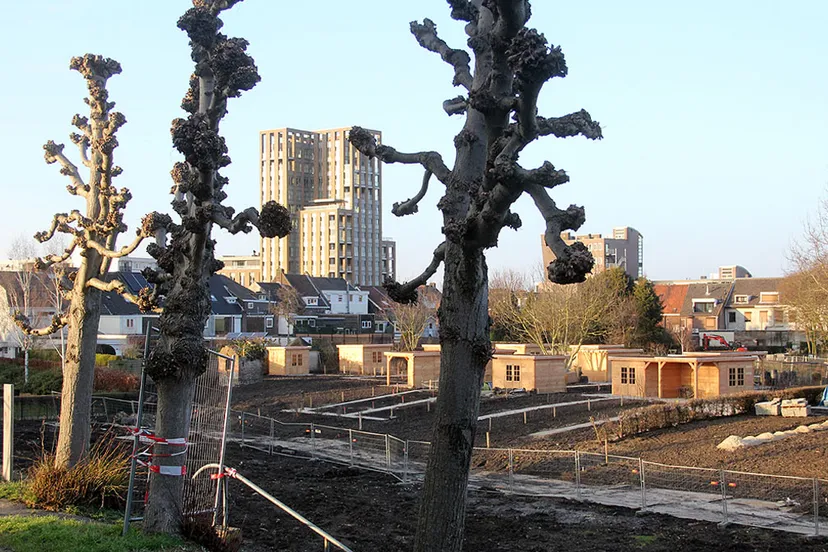 oostelijke schootsvelden eind maart 2018