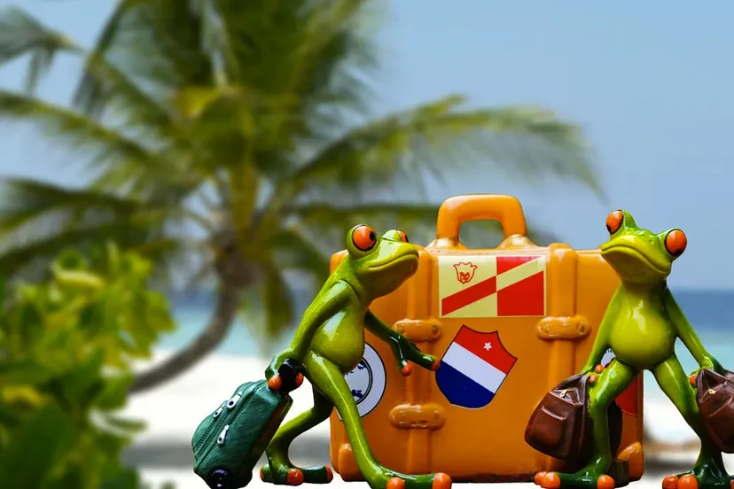 op de bonnefooi op reis cc0 pixabay