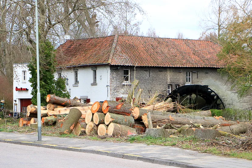 ophovenermolen sittard maart 2020