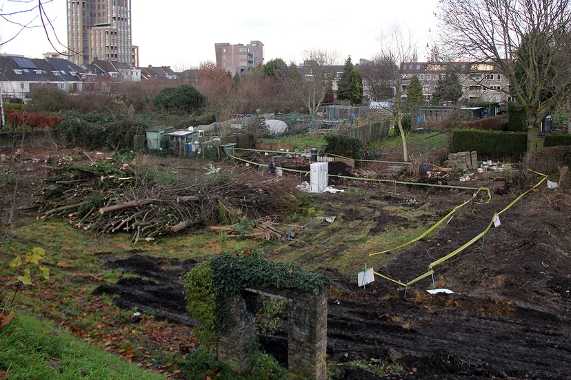 opschonen oostelijke schootsvelden 00