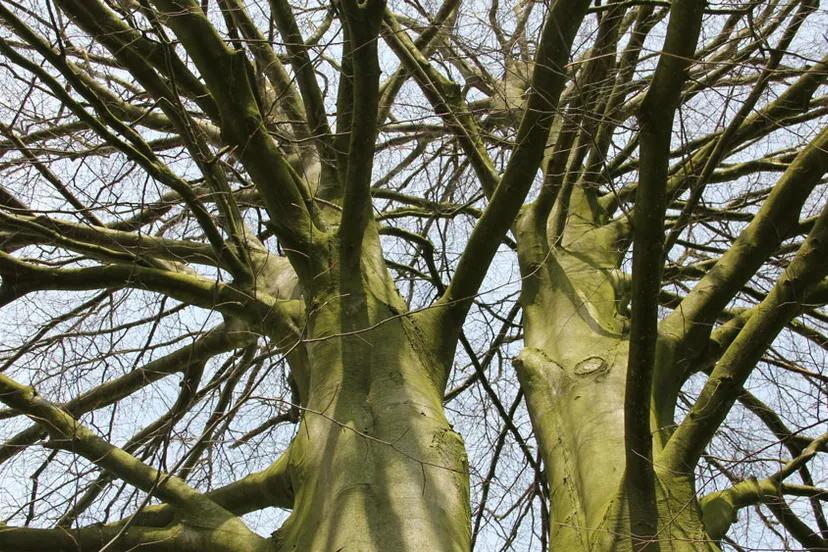 or7yx10550yadlseg71id68nm geheime tuinen 1 16 9