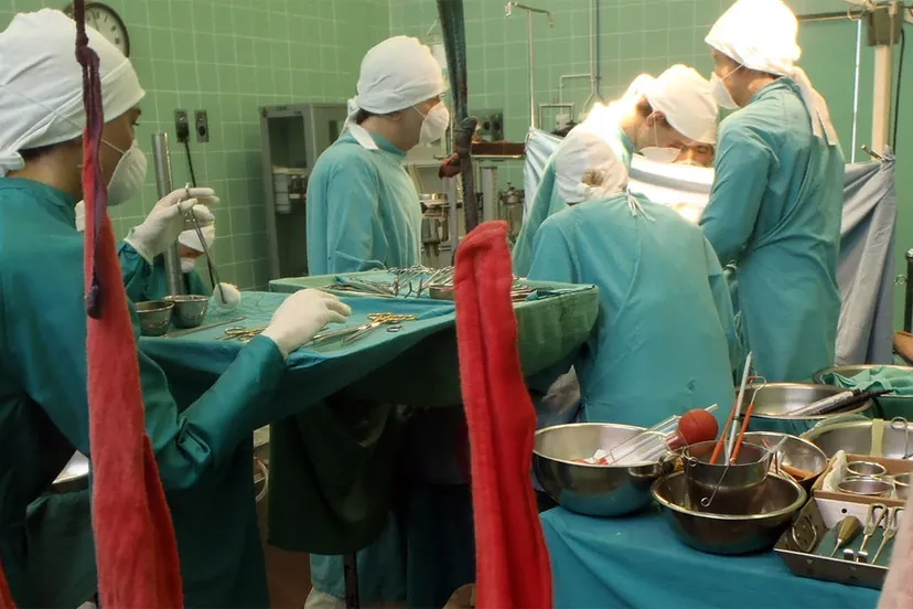 orgaantransplantatie