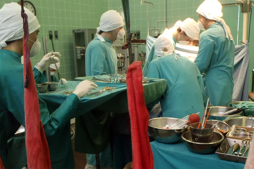 orgaantransplantatie