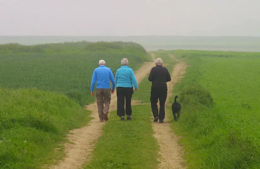 ouderen wandelen bewegen