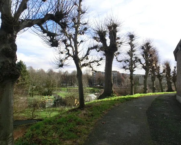 owpdq84iwlovce2msnmt9v3wo 200527