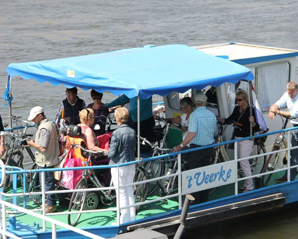 p2tpz8ff6xnn8uo21lic6xdd0 233403