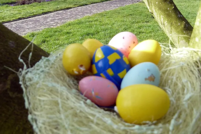 paaseieren zoeken in agnetentuin