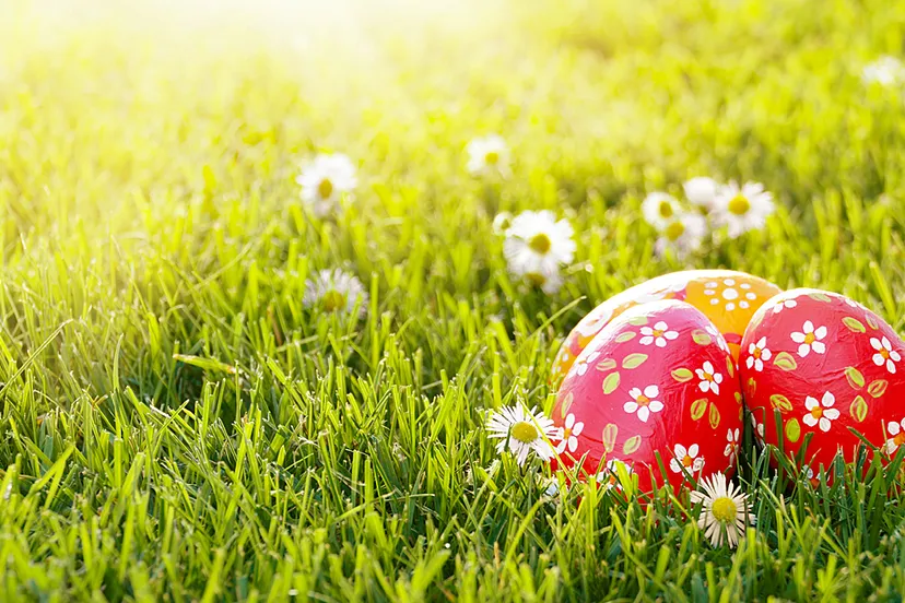 paaseieren zon