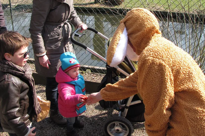 paashaas deelt ei uit 2013