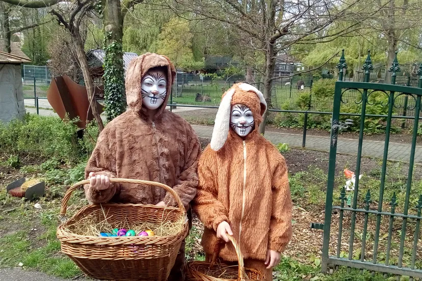 paashazen 2017 groot