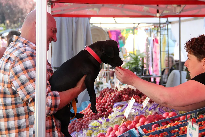 paasmarkt born 2019 00