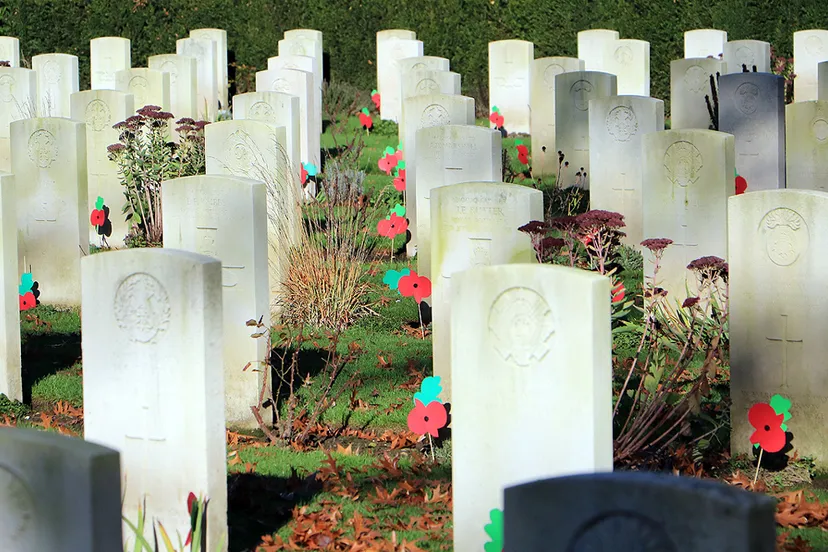 papieren klaprozen bij de britse oorlogsgraven in sittard