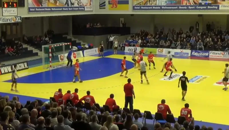 permskie medvedi oci lions