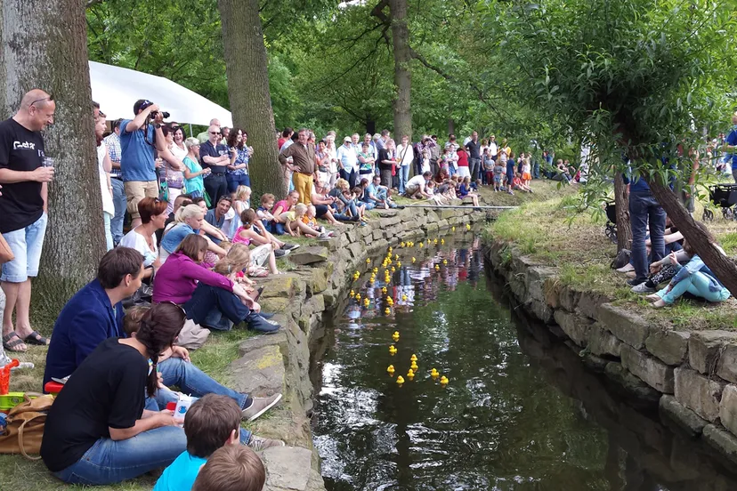 philharmonie badeendenrace 2016