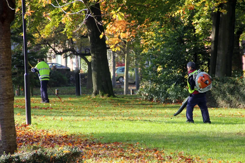 phz5bsjt7x6d4fjis5bivevpj bladblazers in geleen