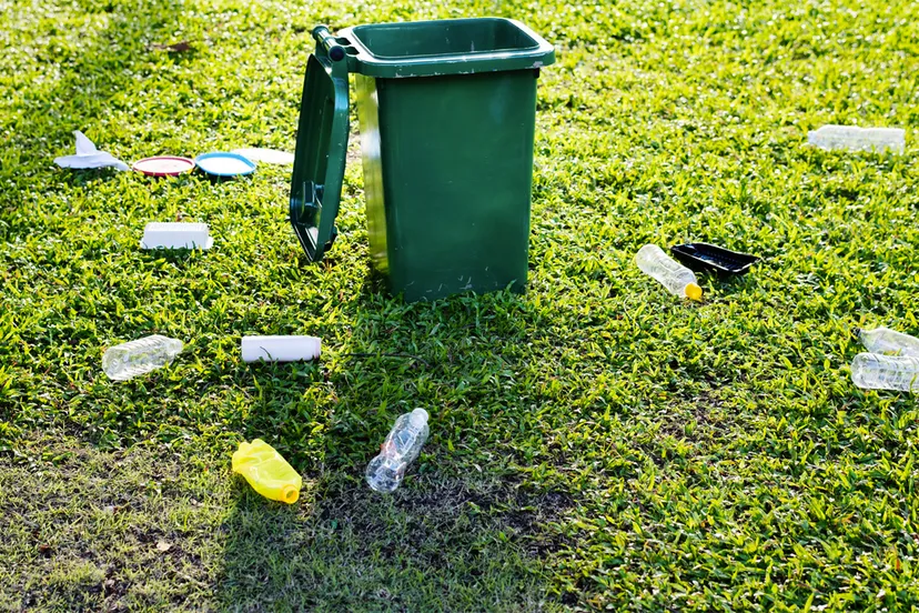 plastic flassen op grasveld cc0 via pexels