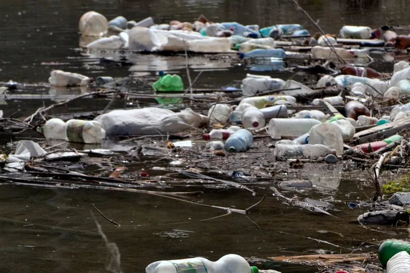 plastic flessen drijvend op water horia varlan cc by 20