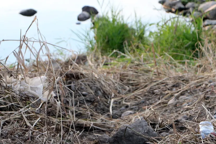 plastic langs de maas