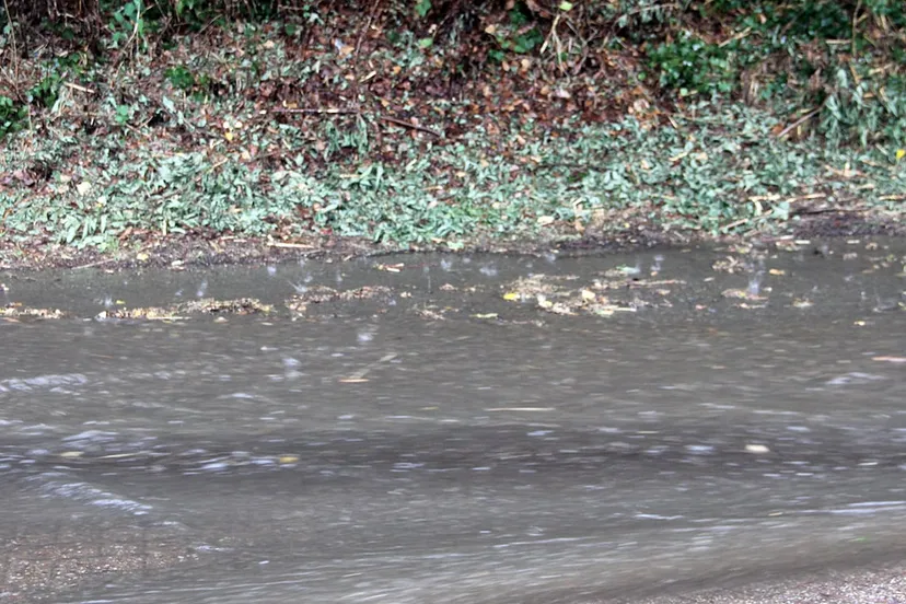 plensbuien sittard 20 juli 2019 2