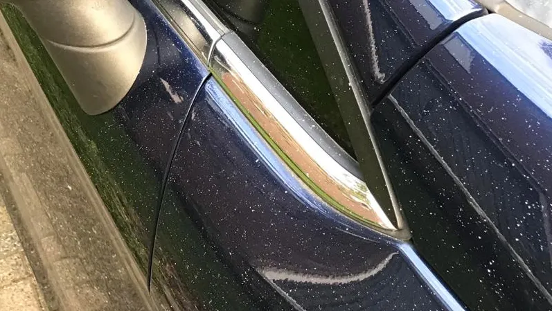 poederuitstoot 20231009 chemelot 1