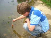 pq50nr4cascy8x16bv96essvw 159184