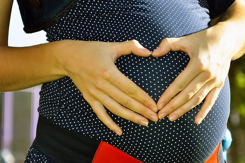 pregnant 244662 1920 zwanger cc0 pixabay