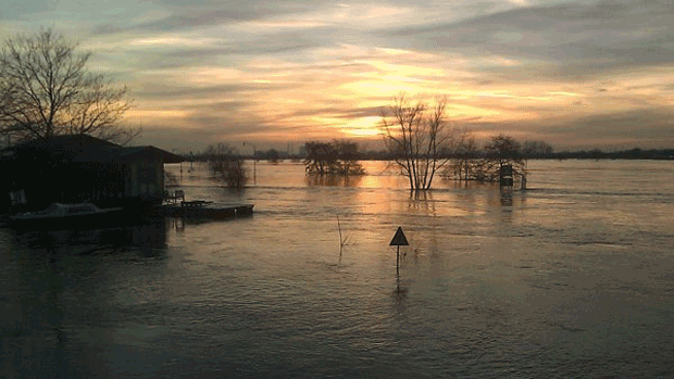 pscnix54egrdbkhusx041ur2q maasbijroermond hoogwater 16 9