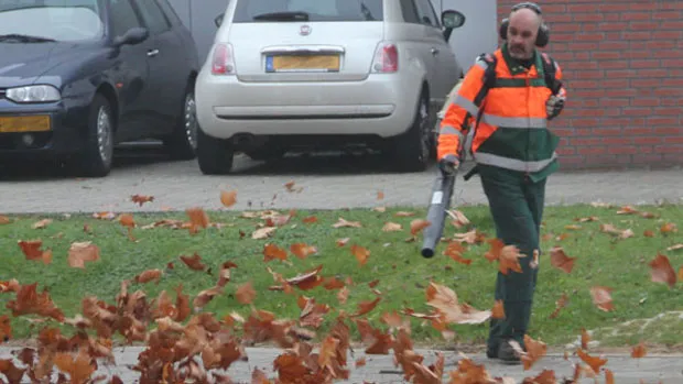 ptxosigthoez4oinz4w7masii bladerenhbc1 16 9