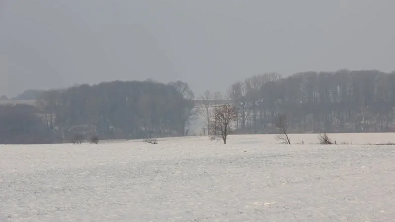 pw8quiup106nn6g0t6szliol8 winter201217 16 9