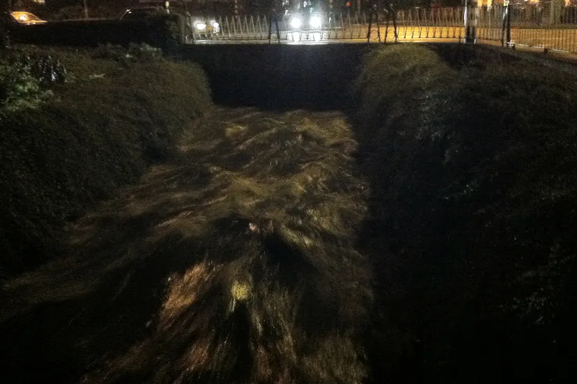 q9psevswzipygs0ewe3wjp85v woest stromende keutelbeek 2