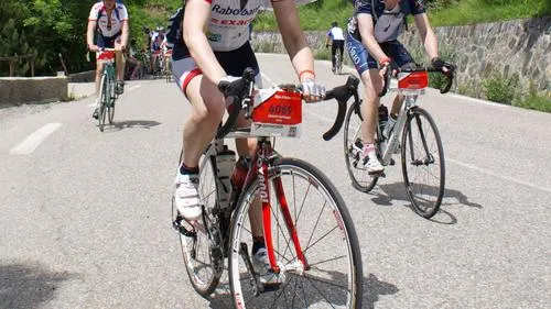 qmljc72qp29ygzd4luvh30od6 alpe