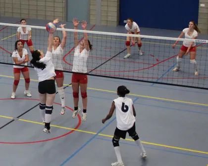 qs6s764goc4fsrollzsp0xvuw 169924