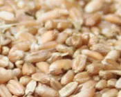 qtdpw8hd9njv1103knxzvacm6 171265