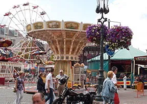 r0y3qll33aumklrbsfyshugoa 81579