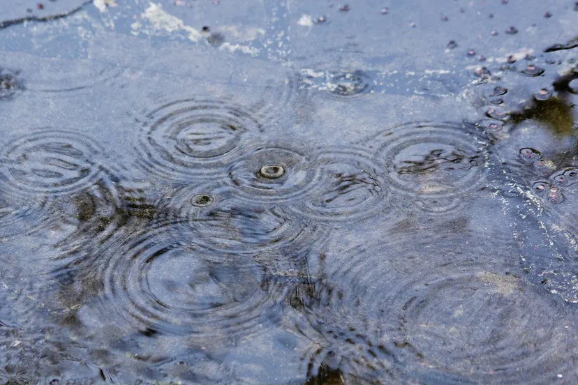 rain 65484 1920 regen