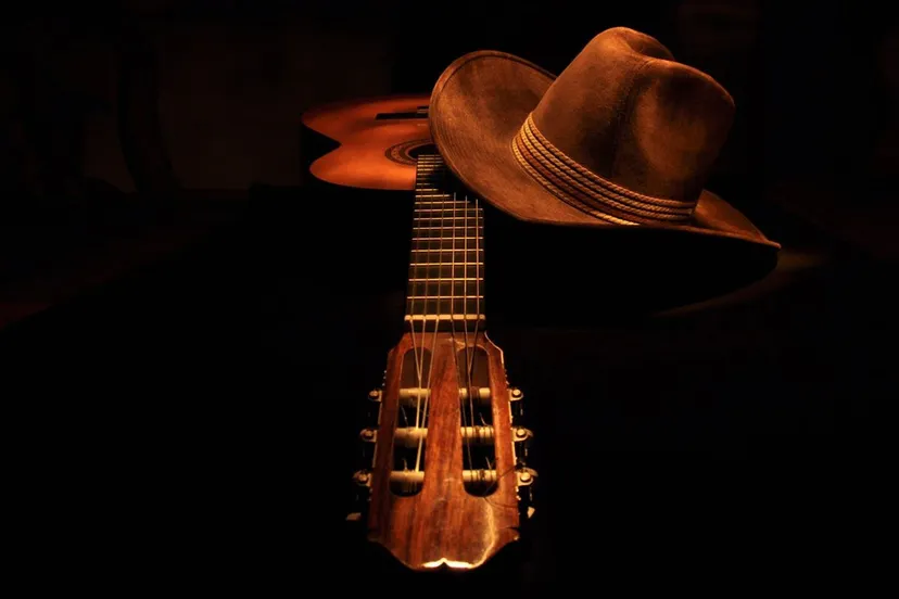 raventhorne via pixabay guitar country western