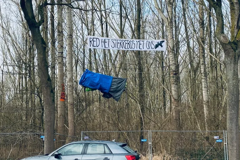 red het sterebos nog 2 actievoerders in de bomen